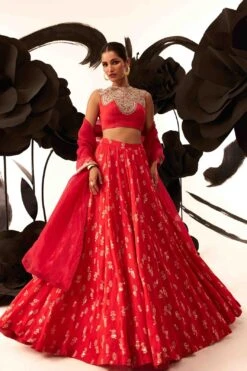 Bhumika Sharma Red Floret Lehenga Set