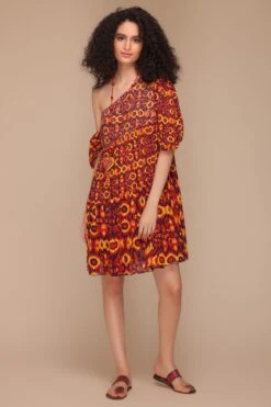 Payal Jain Tiffany Printed Dress