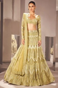 Ritika Mirchandani Olive Gold Ilay Embellished Lehenga Set