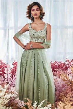 Devika Bhayana Pista Organza Lehenga Set