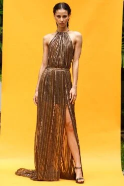 Nikita Mhaisalkar Brown African Baroque Embroidered Halter Dress