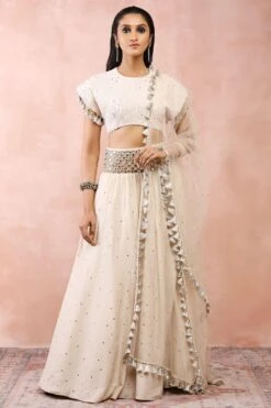 Payal Singhal Chikankari Lehenga Set