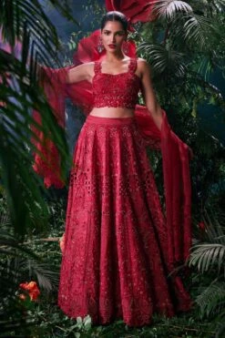 Chandrima Red Tonal Cutwork Bustier