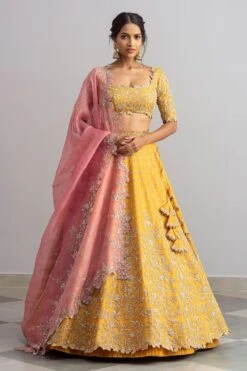 Anushree Reddy Mustard Organza Cutwork Lehenga Set
